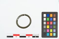 Foto von Bronzering (NHMW-PRAE-026239)